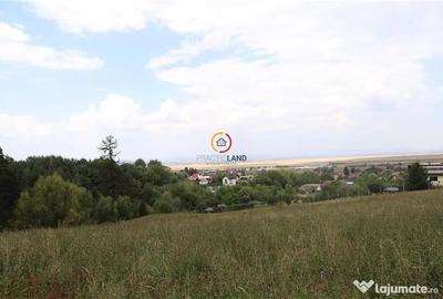 Teren de 1195 mp, în Central