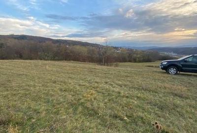 Teren de 2900 mp, în Baciu - 1