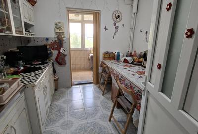 Colentina,Rau Fundeni,Maior Vasile Bacila - 12