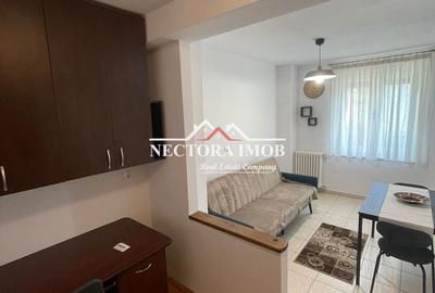 Apartament cu 2 camere decomandat în Paleu - 4