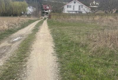 Teren de 700 mp, în Hemeiuș