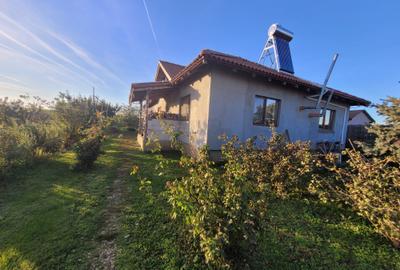Casă cu 3 camere în Vest