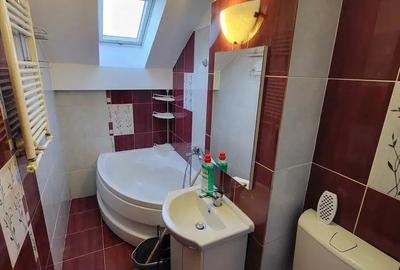 Apartament cu 2 camere semidecomandat, mobilat în Șagului