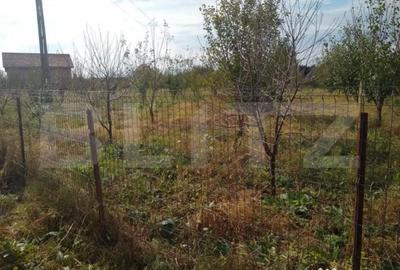 Teren de 4170 mp, în Bercu Roșu - 4