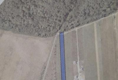 Sabareni - Gulia - 3