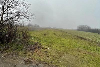 Teren de 6105 mp, în Sălciile - 1