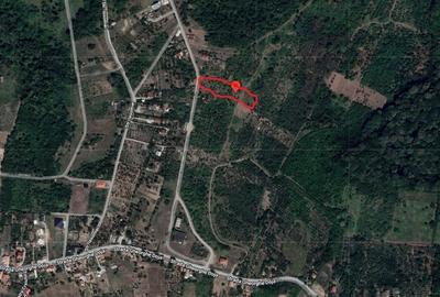 RECO Teren extravilan Paleu 800mp - 3