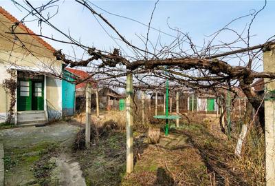 RECO Casa cu teren 3036mp, Bors - 5