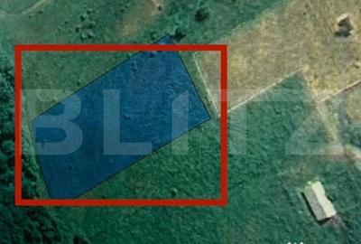 Teren de 4550 mp, în Cetate