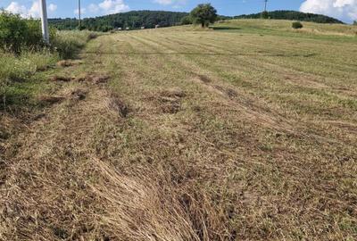 Spațiu comercial, în Aghireșu - 1