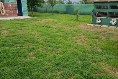 Vand casa in Barsanesti, judetul Botosani, teren 3868 mp Vand casa in Barsanesti, judetul Botosani, teren 3868 mp - 9