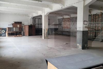 Spațiu industrial, de 4,000 mp, în Bucovăț - 1