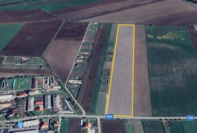 Superoferta! Teren 44000 mp in intravilanul localitatii Bod, Brasov - 5