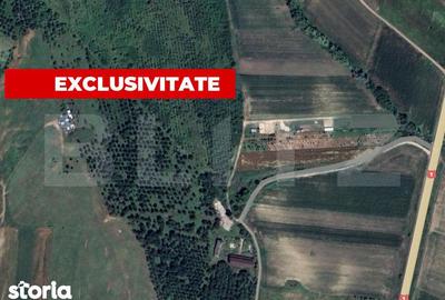 Teren de 5996 mp, în Teiu