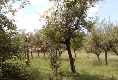 Teren de 10400 mp, în Central - 3