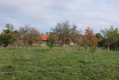 Loc de casa cu livada ?i corp de cladire - 7