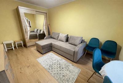 Garsonieră semidecomandată, mobilată în Sub Arini - 3