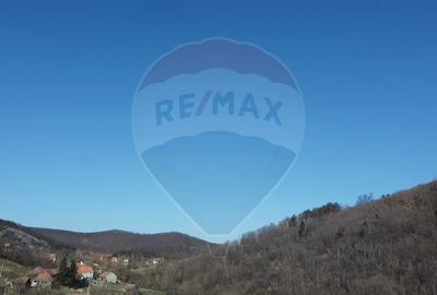 Teren intravilan de 23600 mp, în Inuri - 3