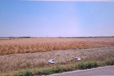 Spațiu comercial, în Merei