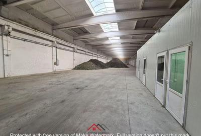 Hale noi in Baicoi, Ph--13.000mp--3e - 6