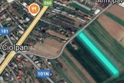 Teren Construcții intravilan de 4800 mp, în Ciolpani - 2