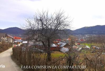 Spațiu comercial, în Vlădești - 2