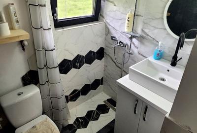Casă cu 3 camere cu Teren 500 Mp în Bistra - 1