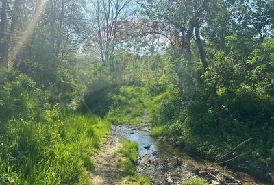 Teren 1,000mp Magura / Strada Valea Magurii - 1