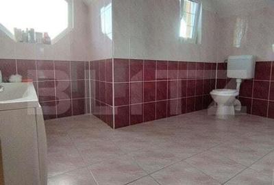 Casa 5 camere, curte frumos amenajata, 524mp teren, San Mihaiu German - 12