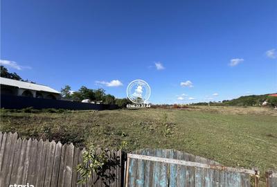 Spațiu comercial, în Proselnici