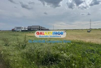 Com Berceni, intravilan 500 mp, Stradal, Curent Electric, Comercial - 13