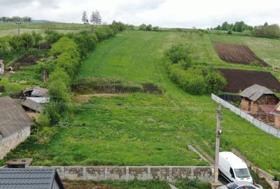 Teren de 5000 mp, în Valea Arini - 7