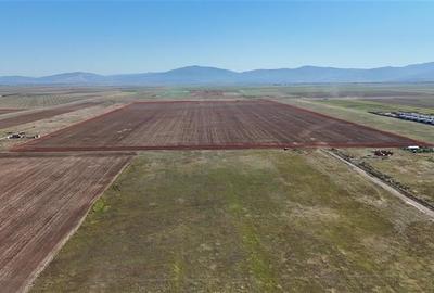 Investitia ideala - 92.700 mp - Teren cu potential major-Izvor, Brasov - 2