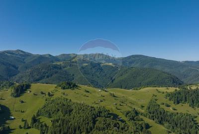 Casa / Vila cu 6 camere, in inima naturii, comision zero pt cumparator - 5