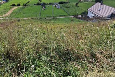 Teren de 1550 mp, în Săvădisla - 4