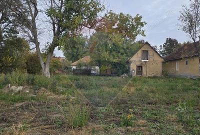 Teren generos cu potential in comuna Silindia, judetul Arad - 10