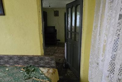 Teren si Casa 4.021 mp in comuna Goie?ti - 1