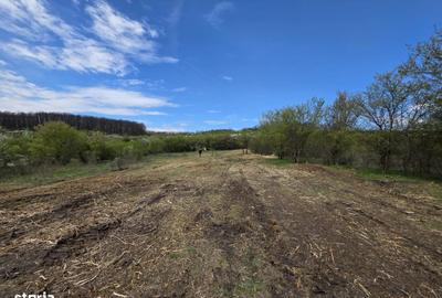 Teren de 6704 mp, în Hărău - 16