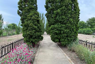 Casă cu 4 camere în Garoafa - 7