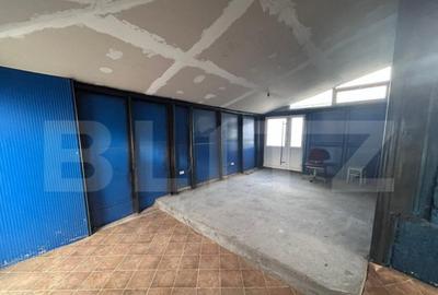 Hala industriala, 60 mp, zona Hanul Craiovitei - 12