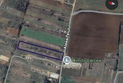 Spațiu comercial, în Cârcea - 5