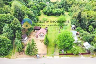 TEREN intravilan   8.000 mp TARCAU - 6
