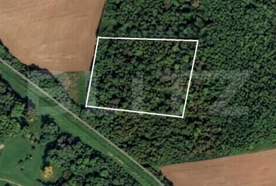 Teren de 10000 mp, în Central - 1