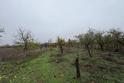 Casă cu 4 camere în Palanga - 7