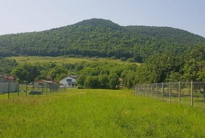 Teren intravilan, zona Vetel - 2