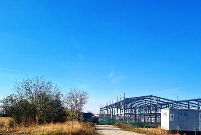 Vanzare Teren industrial  Magurele 8000mp - 4
