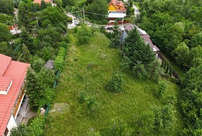 Breaza de Sus - Gura Beliei - teren cu vedere spre munte - 9