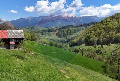 Teren de 5694 mp, în Moieciu - 3