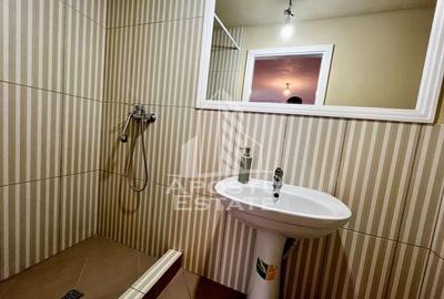 Jumatate de Duplex, 5 camere, 4 bai,curte, Mosnita Noua - 14