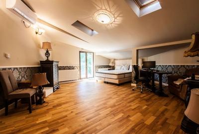 Apartament tip vila 295 mp utili, regim S+P+M, ideal birouri, clinica, avocatura - 4